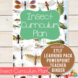 Insect Curriculum Plan