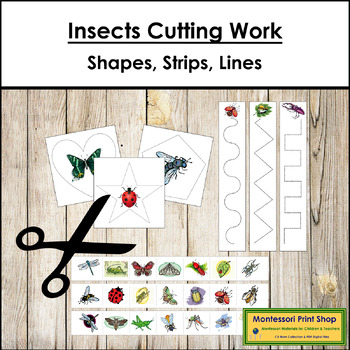 Preview of Insects Cutting Work - Scissor Practice
