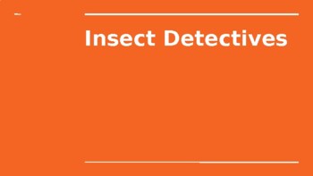 Preview of Insect Detectives Book PowerPoint