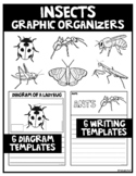 Insect Diagram Graphic Organizers & Writing Templates