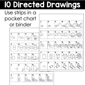 https://ecdn.teacherspayteachers.com/thumbitem/Insect-Directed-Drawings-Bugs-Spring-9416031-1681725951/original-9416031-4.jpg