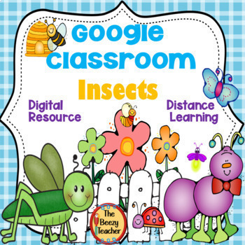 Preview of Insect Fact Booklet Digital Resource Distance Learning