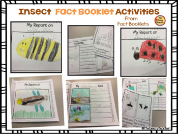 Insect Fact Booklets and Activities Bundle by TheBeezyTeacher | TpT