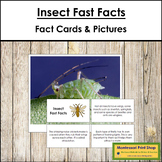 Insect Fast Facts - Montessori Zoology Cards & Pictures