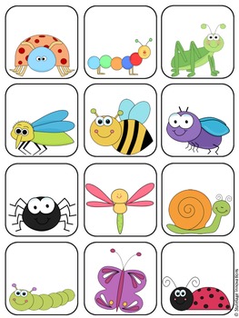 Insect File Folder Matching Game by Miss McNamara's Class | TpT