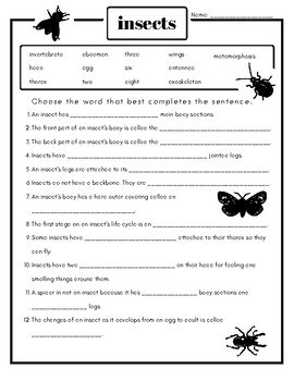 Insect Fill in the Blank by Cassandra's Ag Curriculum | TPT