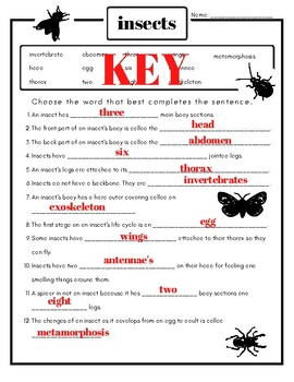 Insect Fill in the Blank by Cassandra's Ag Curriculum | TPT