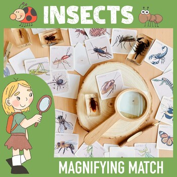 Preview of Insect Flash Cards Magnifying Glass Montessori Matching Activities