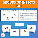 Insect Groups Activity Pack