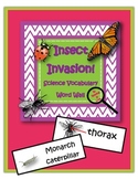 Insect Invasion!  Vocabulary Word Wall Cards