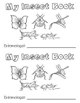 Preview of Insect Investigation Book - Butterflies and Ladybugs