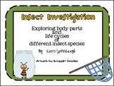 Insect Investigation - Exploring Body Parts and Life Cycles