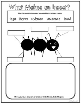 Mrs. Guntorius' Kindergarten Class: Insects