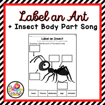 Insect - Label the Body Parts + A Song by Kinder Blossoms | TpT