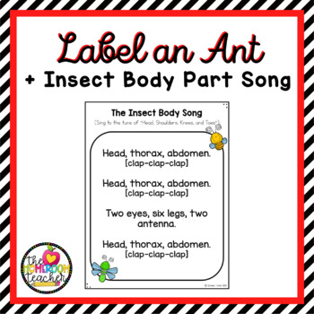 Labeling Insect Body Parts Activity & Song Animal Life Science | TPT