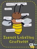 Insect Labeling Craftivity
