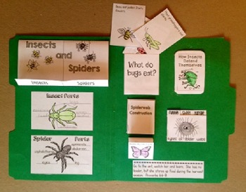 Insect Lap book by Easy Peasy Lemon Squeezy | Teachers Pay Teachers