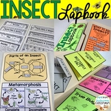 Insect Lapbook and Nonfiction Passages | Bugs and Insects