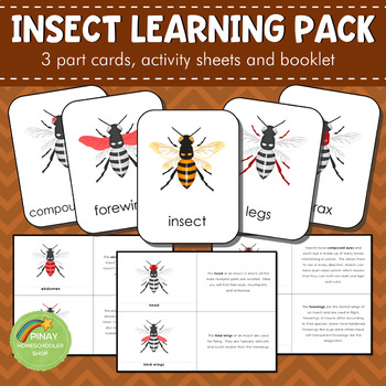Parts of an Insect Montessori 3 Part Cards by Pinay Homeschooler Shop