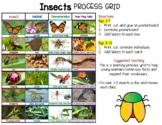 Insect Learning (Process Grid Anchor Chart)