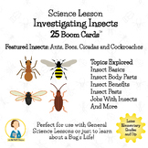 Insect Lesson/Bugs Lesson/Entomology Lesson/ A Bugs Life!/