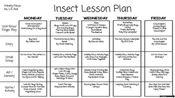 Preview of Insect Lesson Plan for CDA