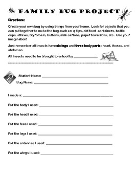 Insect Life Cycle Worksheets