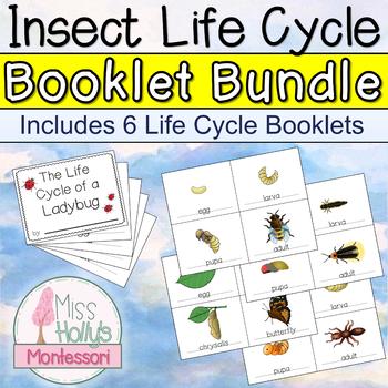 Insect Life Cycle BUNDLE - 6 Student-Made Booklets - Complete Metamorphosis