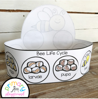 Insect Life Cycle Hats Cut and Glue by Primary Playground | TpT