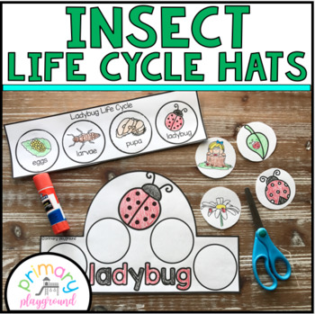 Preview of Insect Life Cycle Hats Crowns Headbands Cut and Glue