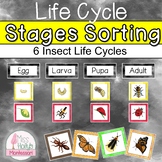 Insect Life Cycle Stages Sorting - Complete Metamorphosis 