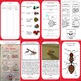 Insect Life Cycle Unit and Interactive Notebook by Ashley Brennan Academics