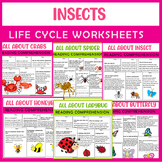 Insect Life Cycle worksheets Bundle, Butterfly, Ladybug, S
