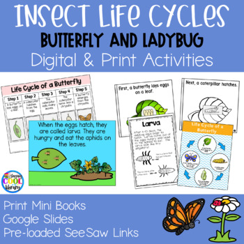 Preview of Insect Life Cycles - Butterfly & Ladybug - Digital and Print Activities