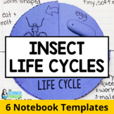 Insects Life Cycles Science Interactive Notebook Activitie