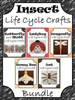 Preview of Insect Life Cycle Crafts Bundle ~ Butterfly, Moth, Ladybug, Dragonfly, Bee & Ant