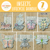 Insect Life cycle Bundle | Butterfly Beetle Bee Ladybug An