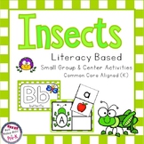 Insect Literacy Pack - Letter Recognition, Beginning Sound