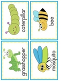 Insect Literacy and Math Activities