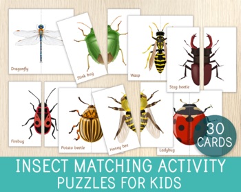 Preview of Insect Matching Activity - 26 Puzzles - Symmetry - Matching Games - Biology