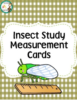 Insect Measurement Cards by Preschool Productions | TpT