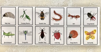 Preview of Insect Memory Game