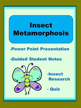 Preview of Insect Metamorphosis
