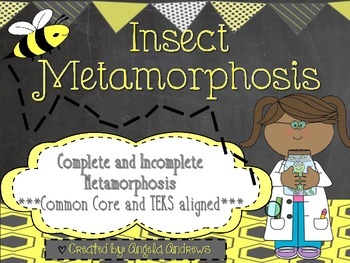 Preview of Insect Metamorphosis