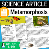 Insects Metamorphosis Article | Butterfly Life Cycle | Inc