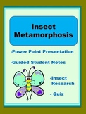 Insect Metamorphosis