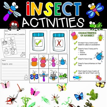 Insect Mini Unit Activities by Kreative in Kinder | TPT