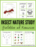Insect Nature Study printables