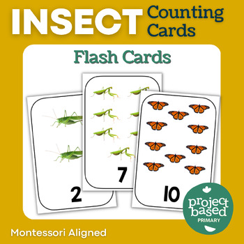 Preview of Insect Number Flash Cards Montessori Aligned