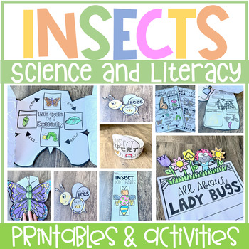 Preview of All About Insects Printables Activities Unit Kindergarten | Bug Activities